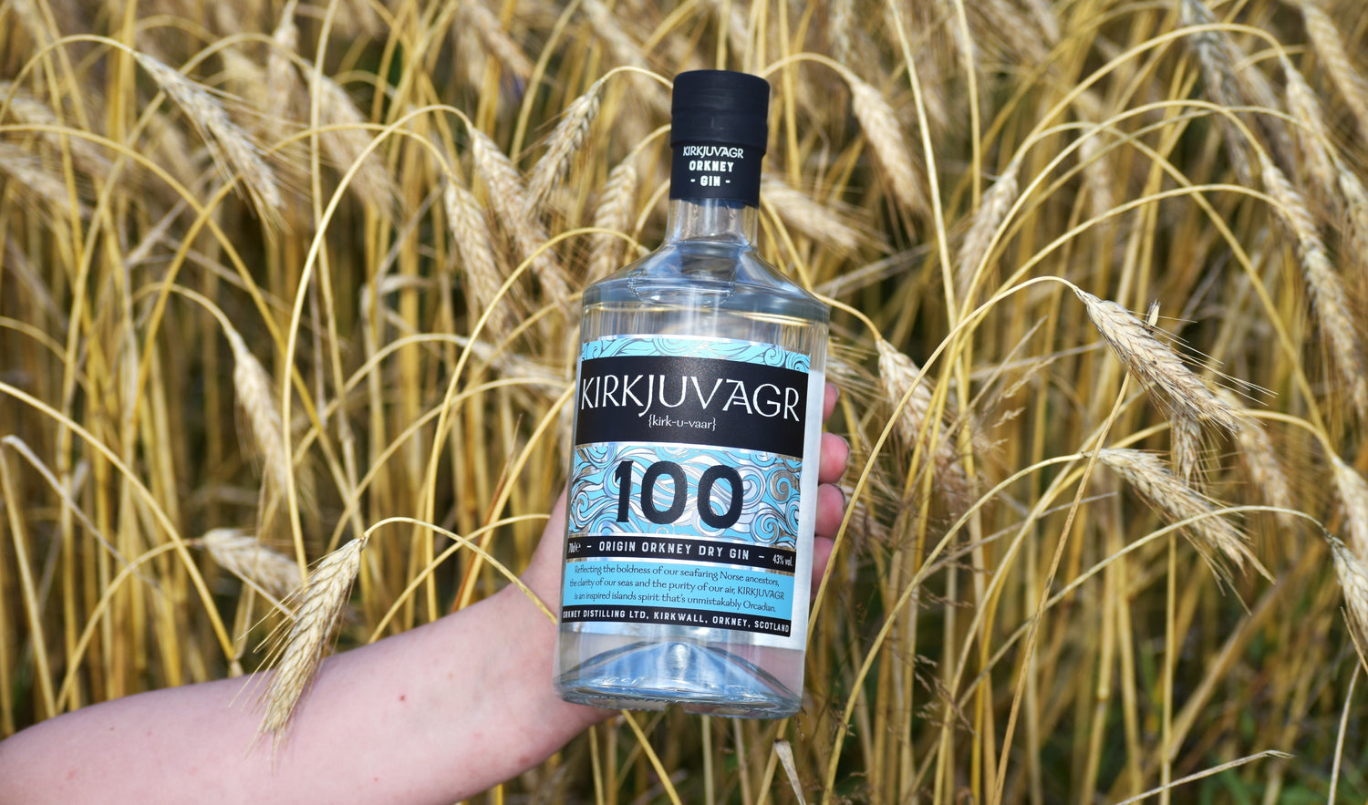 Origin 100: Centennial Edition